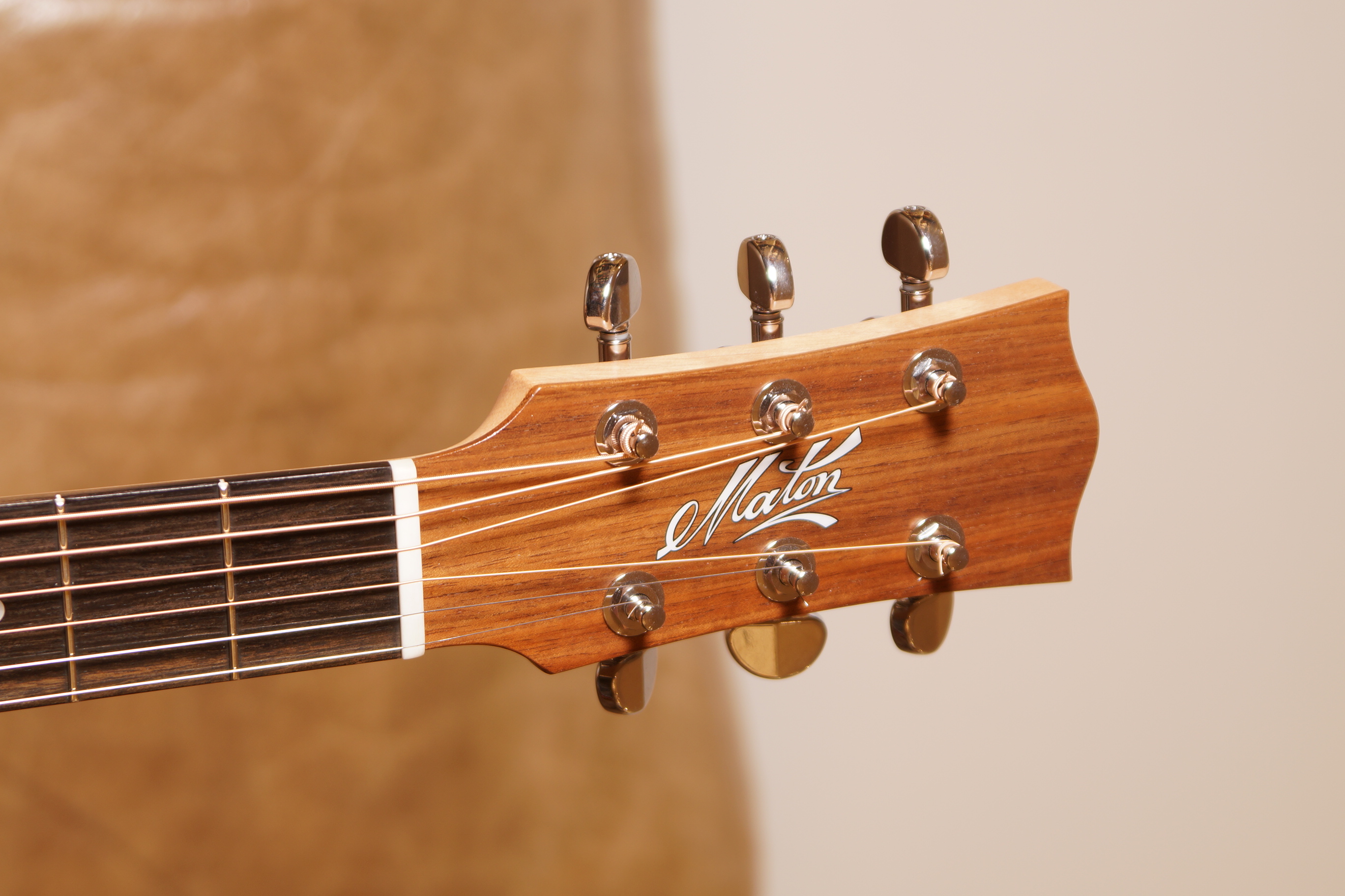 Maton SRS 808