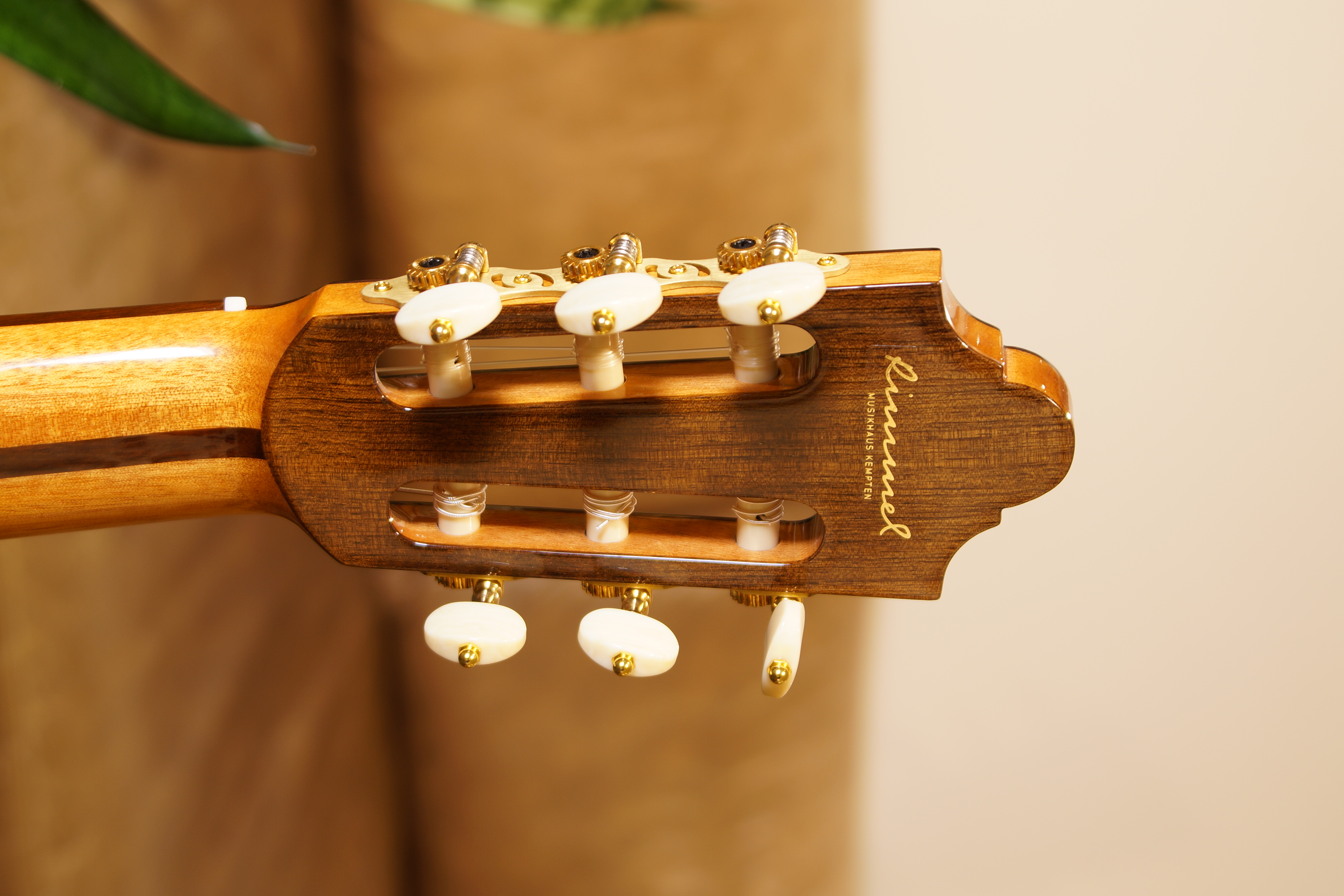 Duke Konzertgitarre Student F