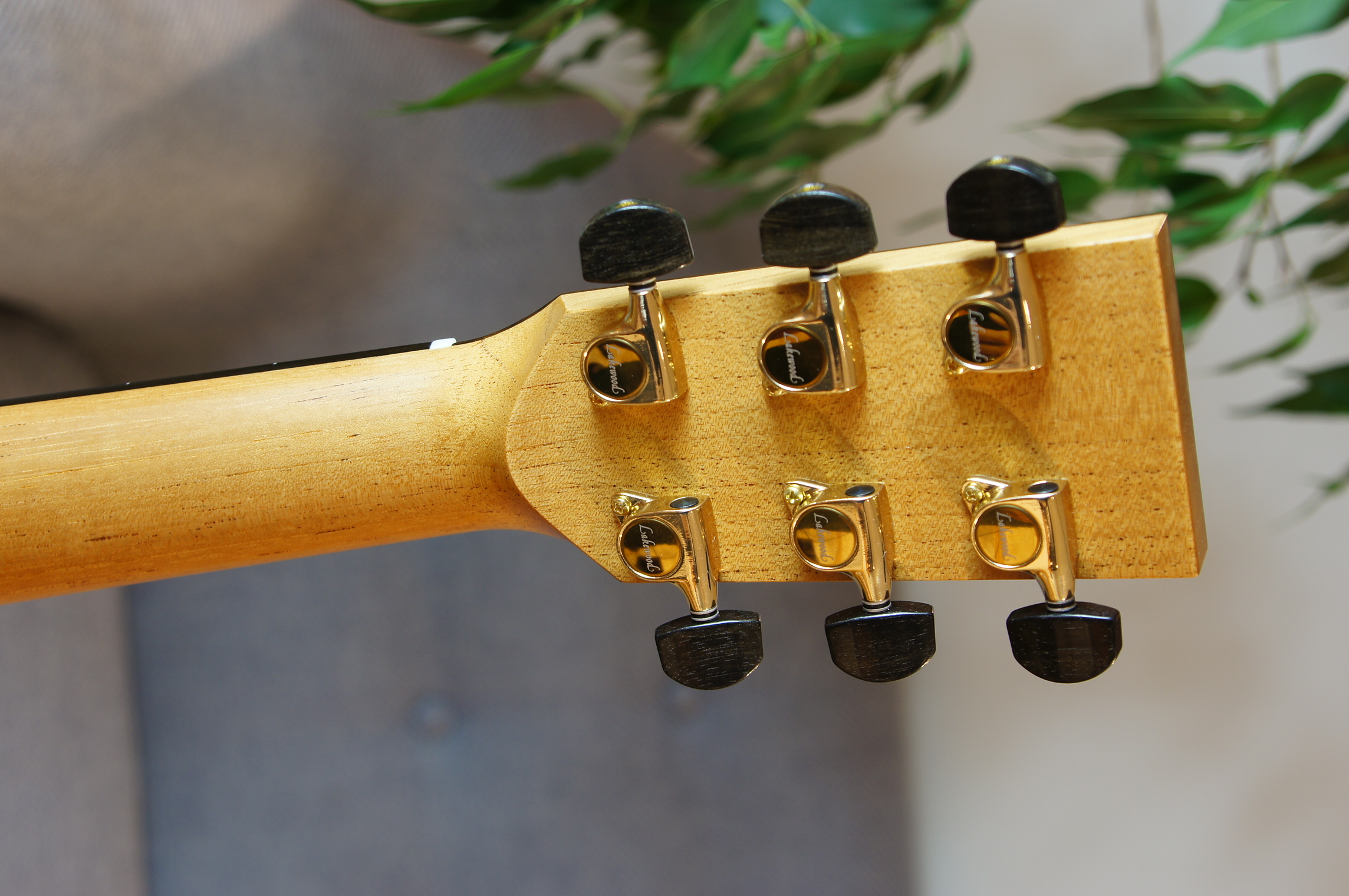 Lakewood D-32