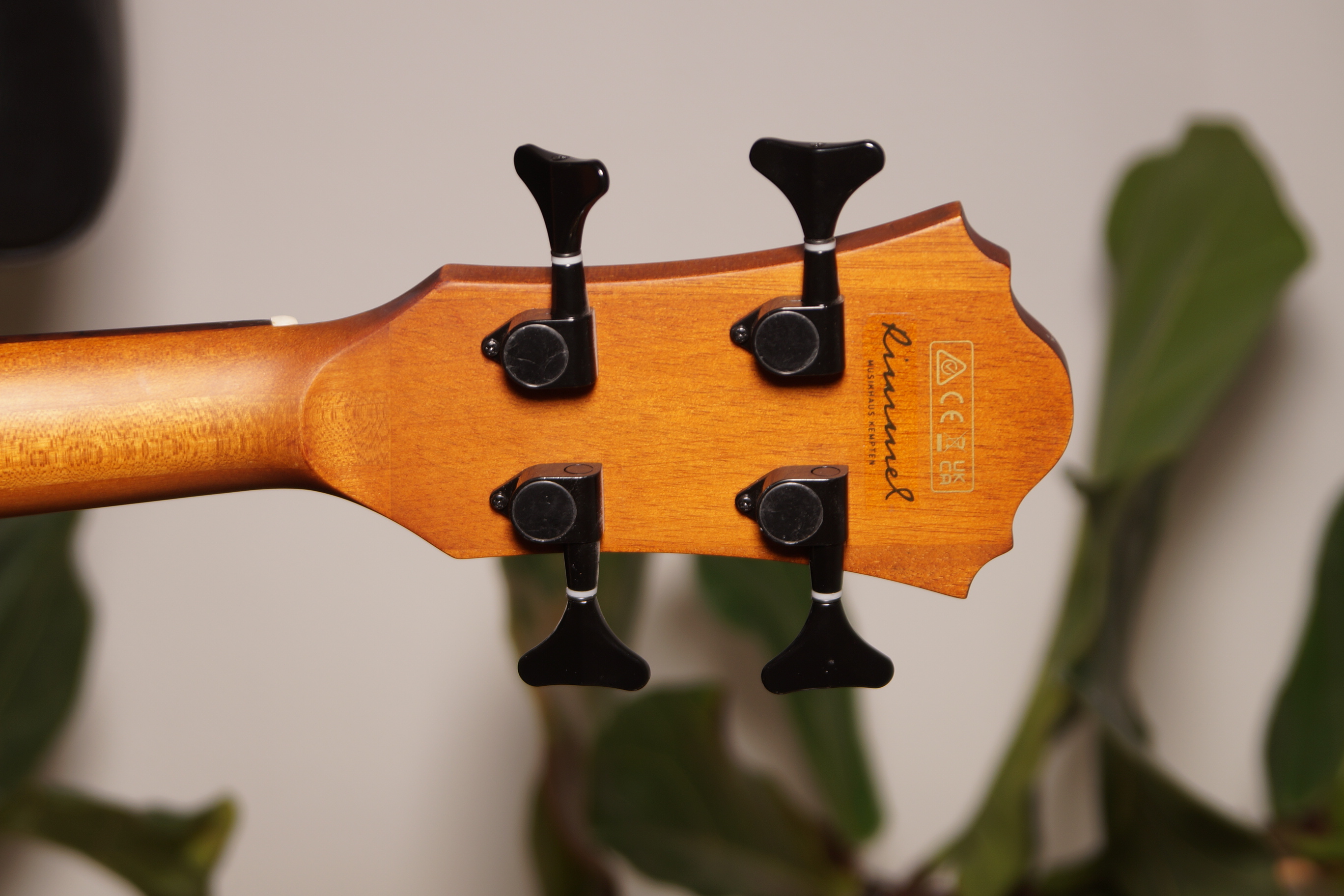 IBANEZ AEGB25E-TKH Akustikbass Transparent Black Sunburst