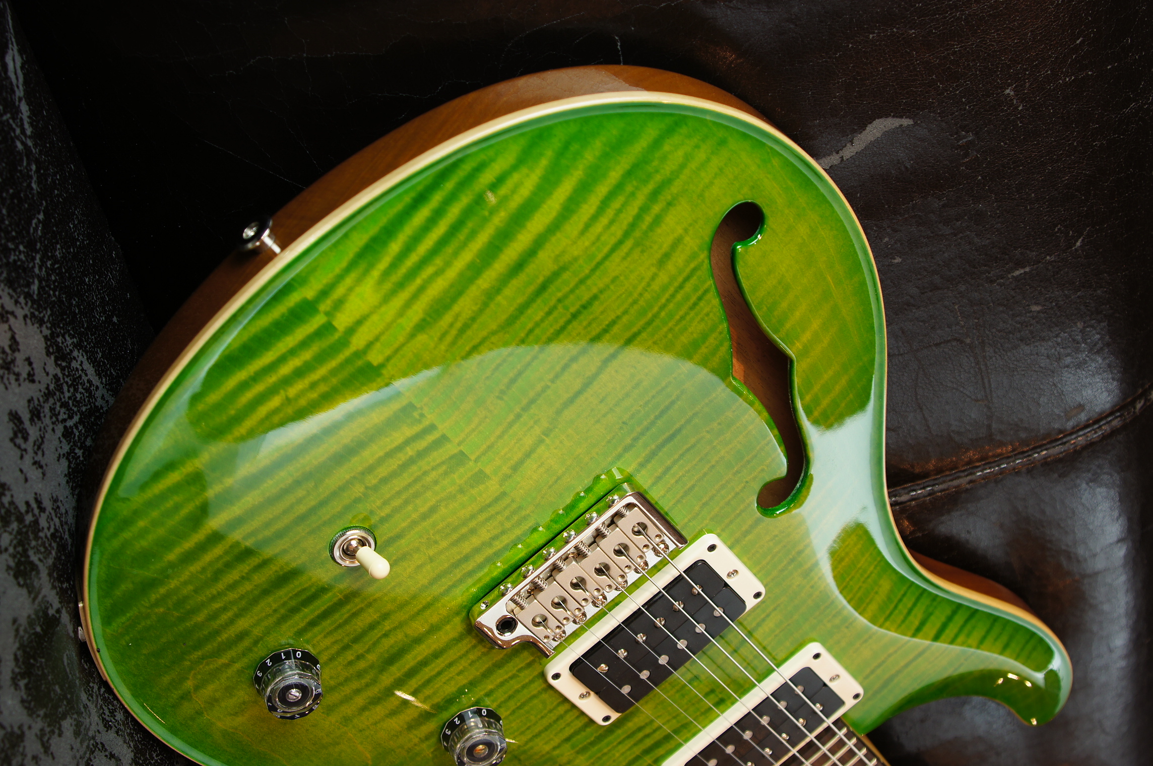 PRS CE 24 Semi Hollow ER - Eriza Verde