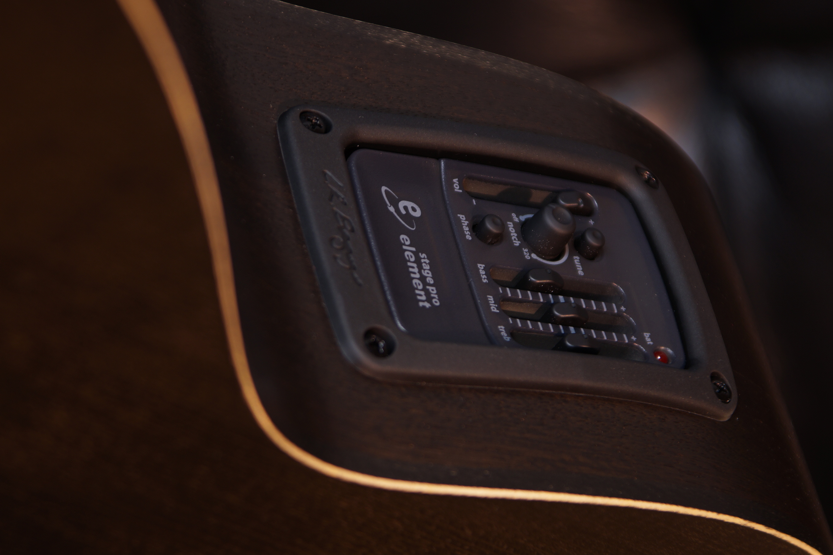 Lakewood Black Sheep mit L.R.Baggs Stage Pro Element und Gigbag