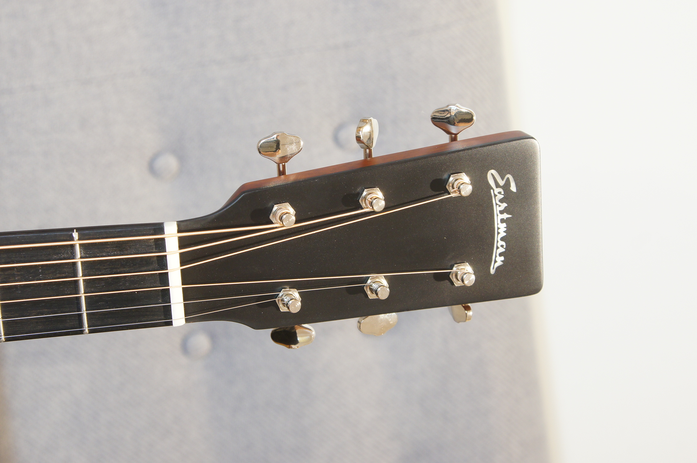 Eastman E1OMCE-DLX
