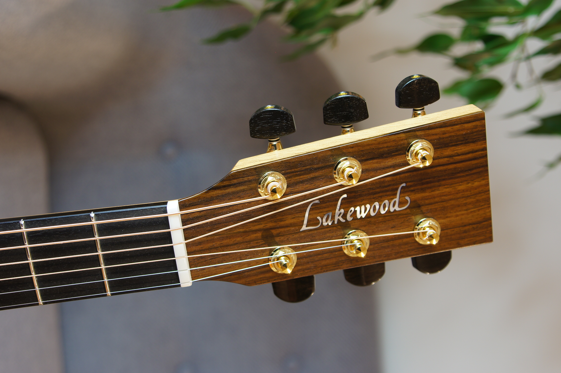 Lakewood D-32