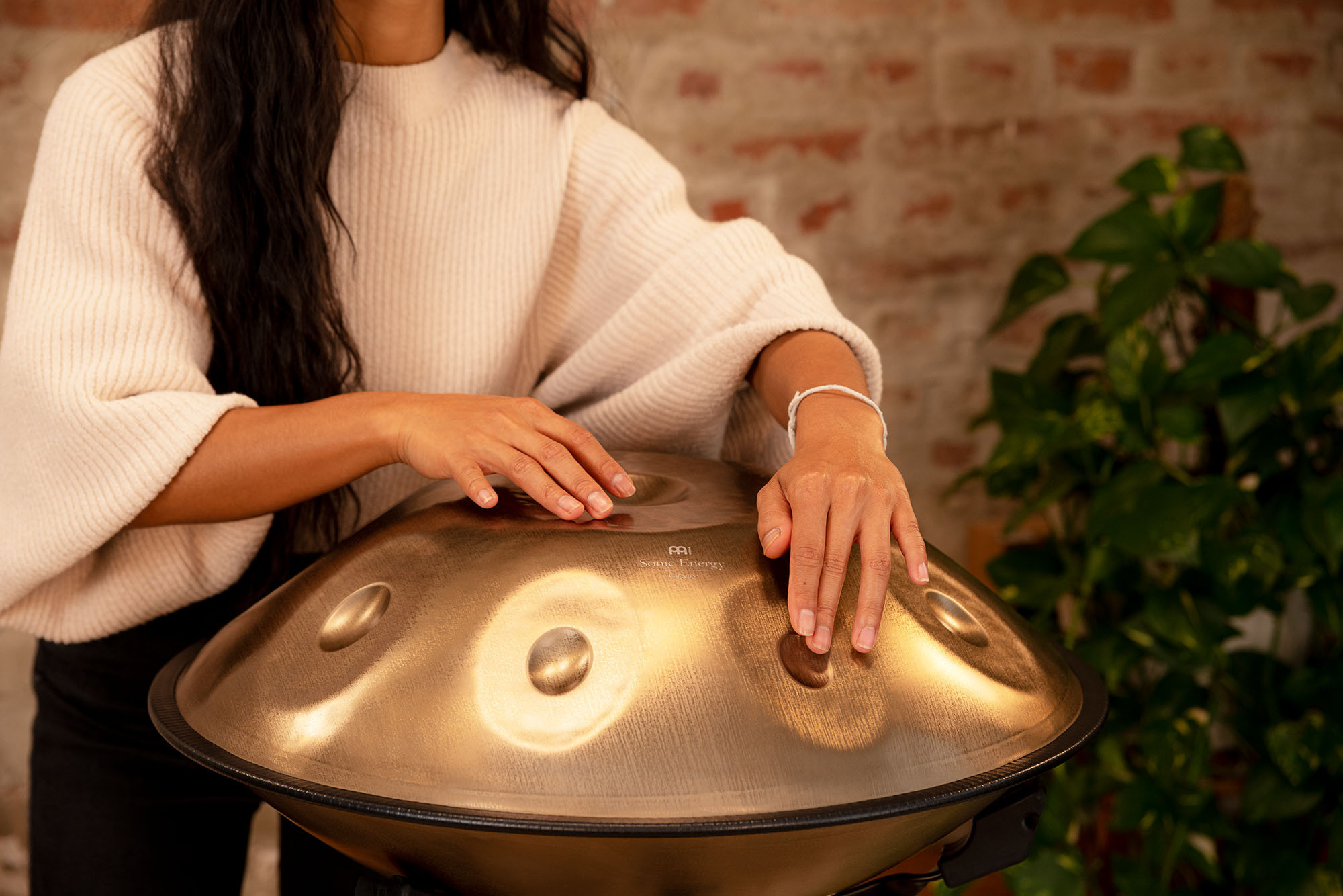 MEINL Sonic Energy Sensory Handpan Stainless D Kurd D/A,Bb,C,D,E,F,G,A - Vintage Gold
