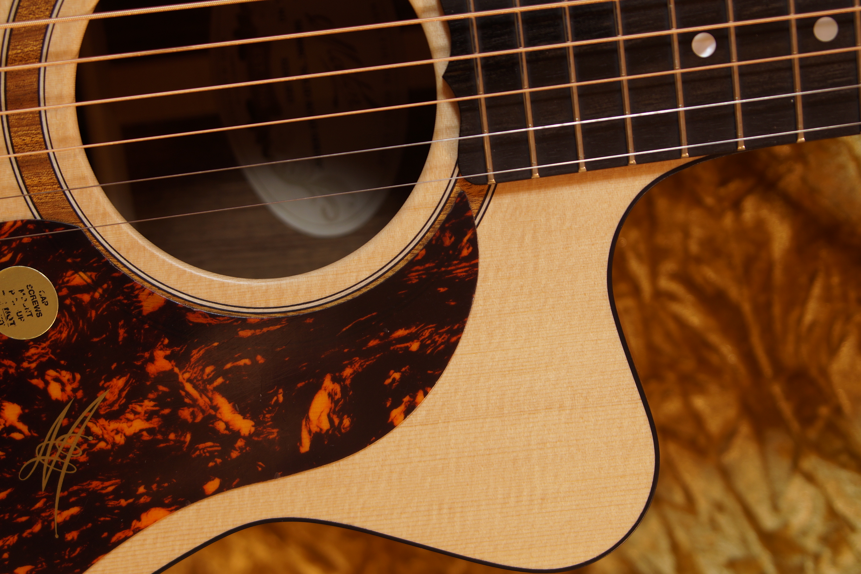 Maton SRS 808 C