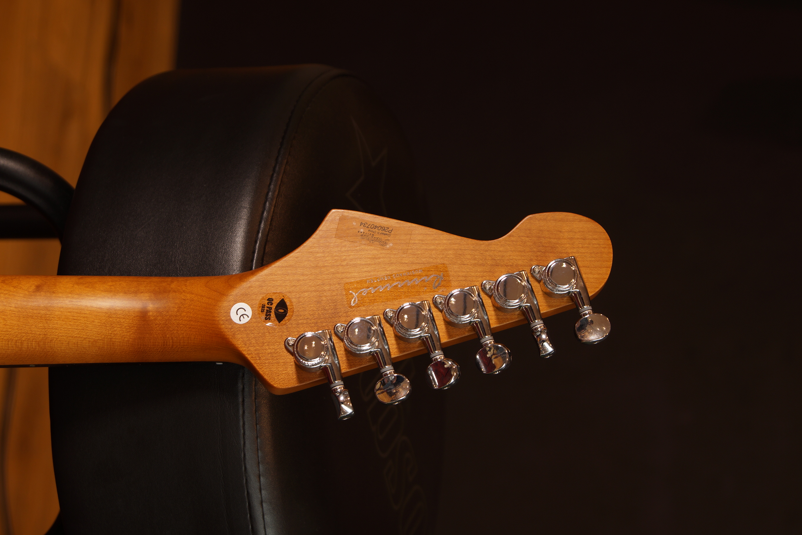 Patina Guitars PS-6 PP R Purple Relic