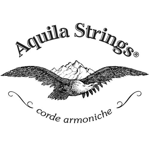 Aquila