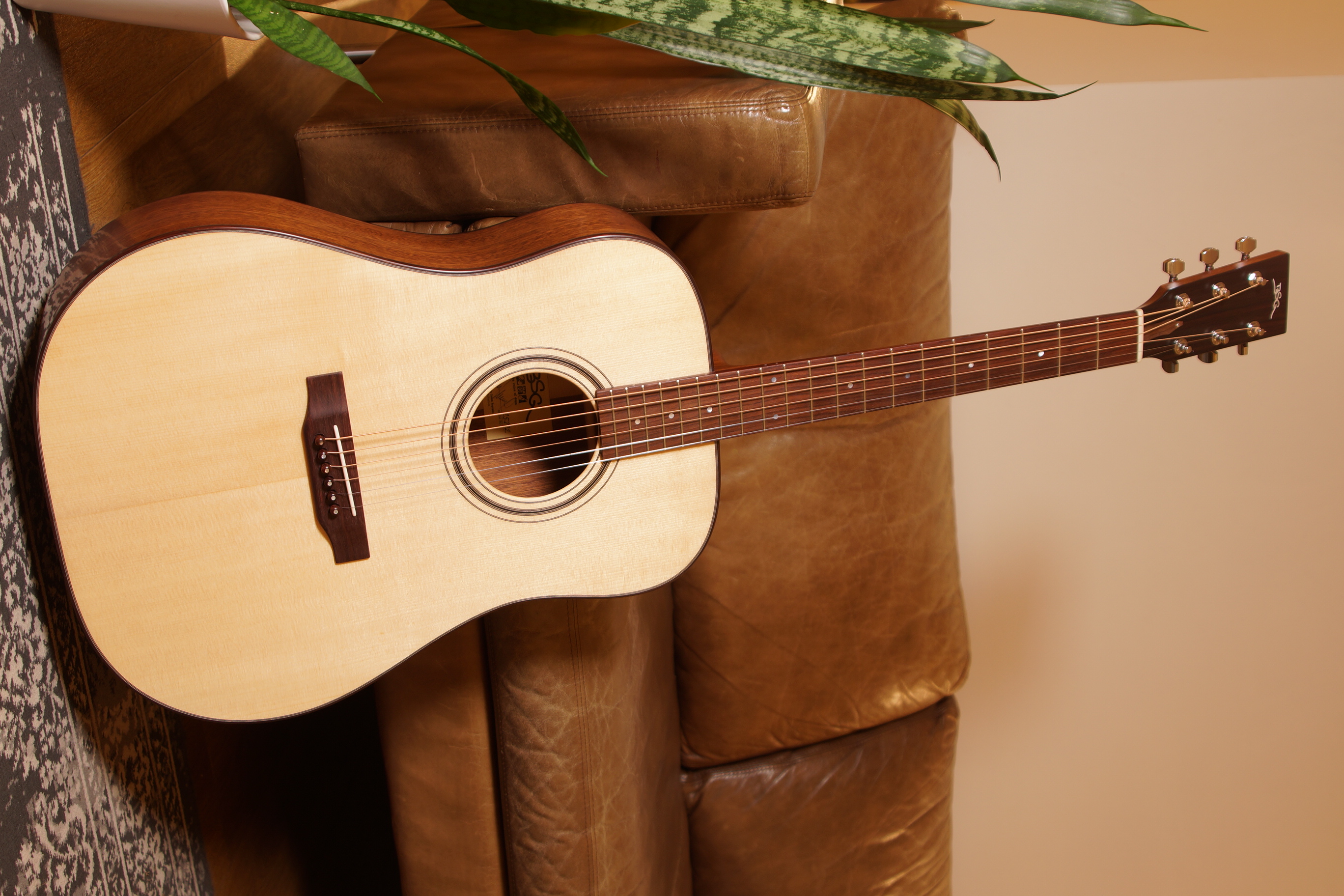 BSG D10 Dreadnought Mahagonie - Fichte  - vollmassiv - Vintage Gloss