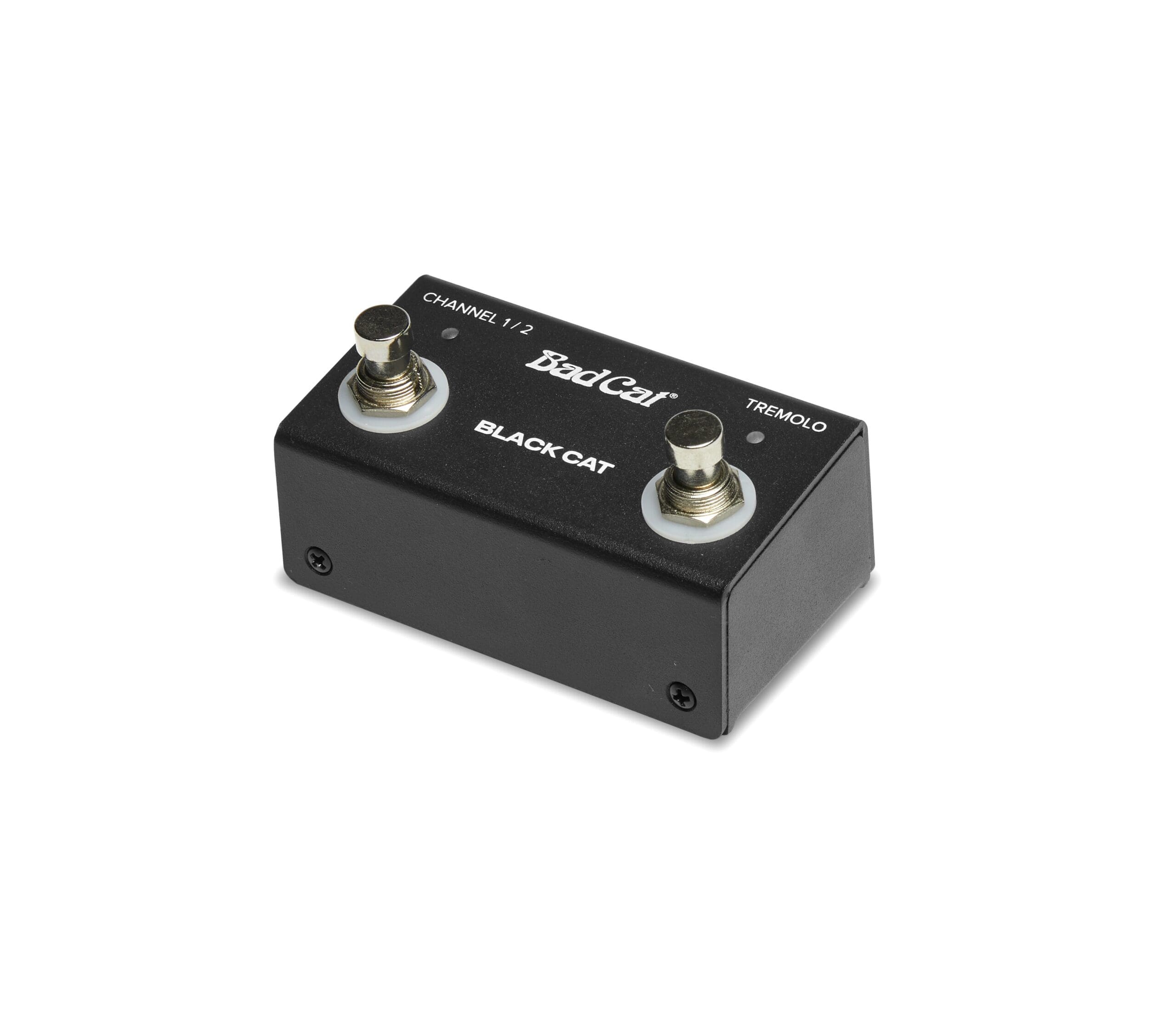 Bad Cat Black Cat 1X12 Combo