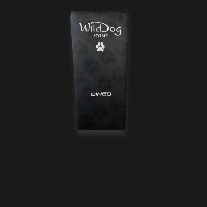 Wild Dog Stomp DINGO