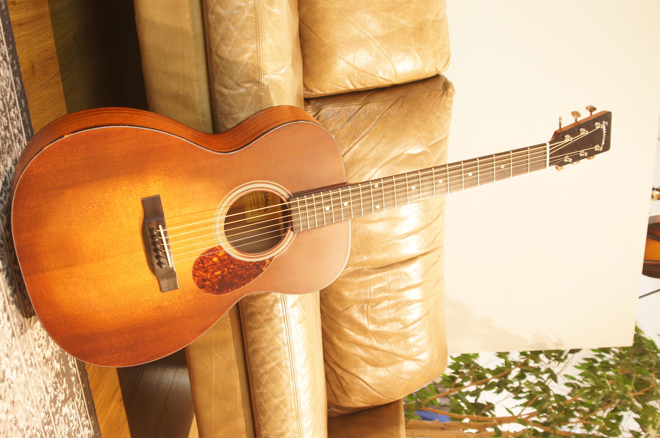 Eastman E1OM-CLA