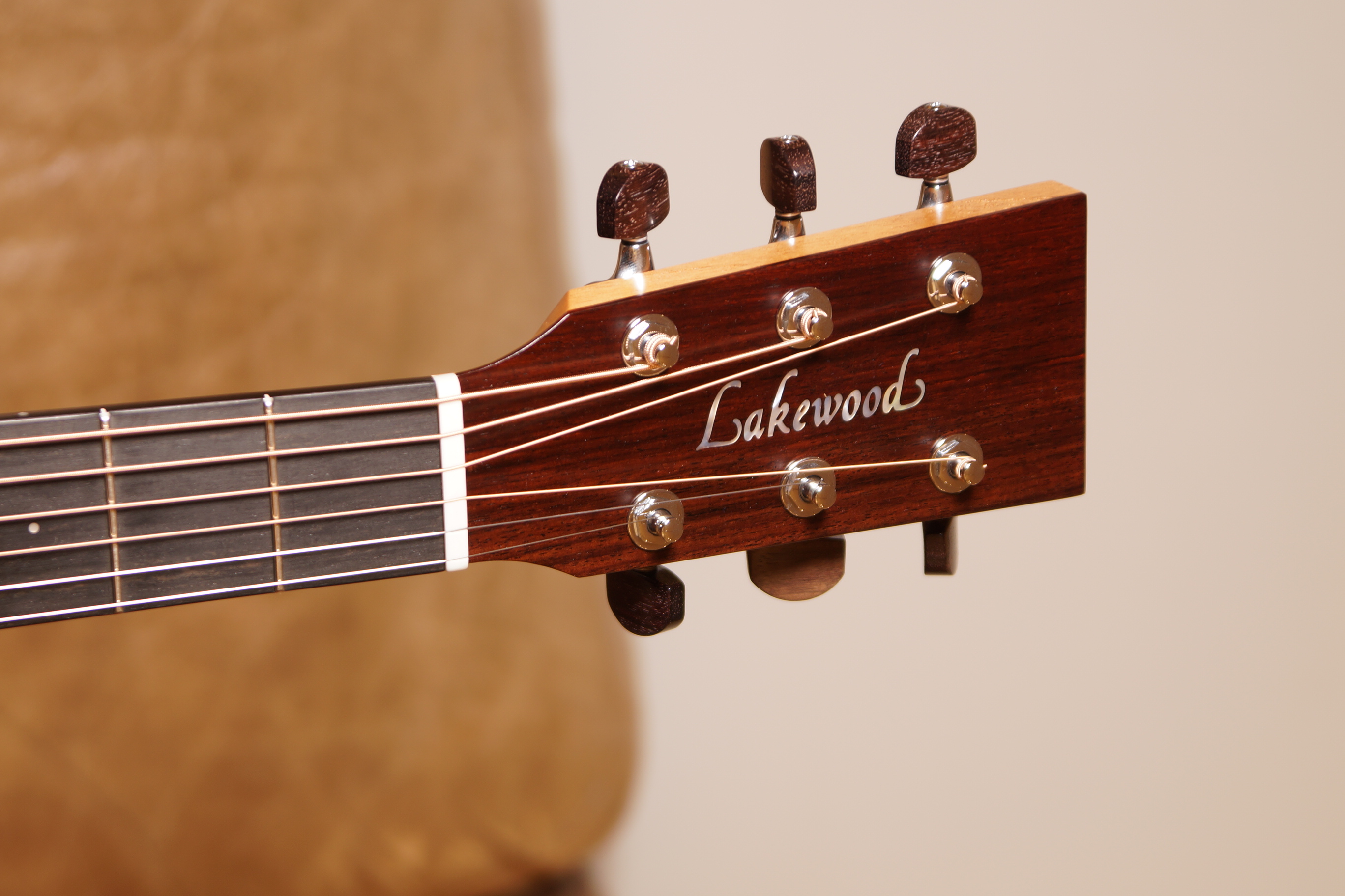 Lakewood D-31 CP