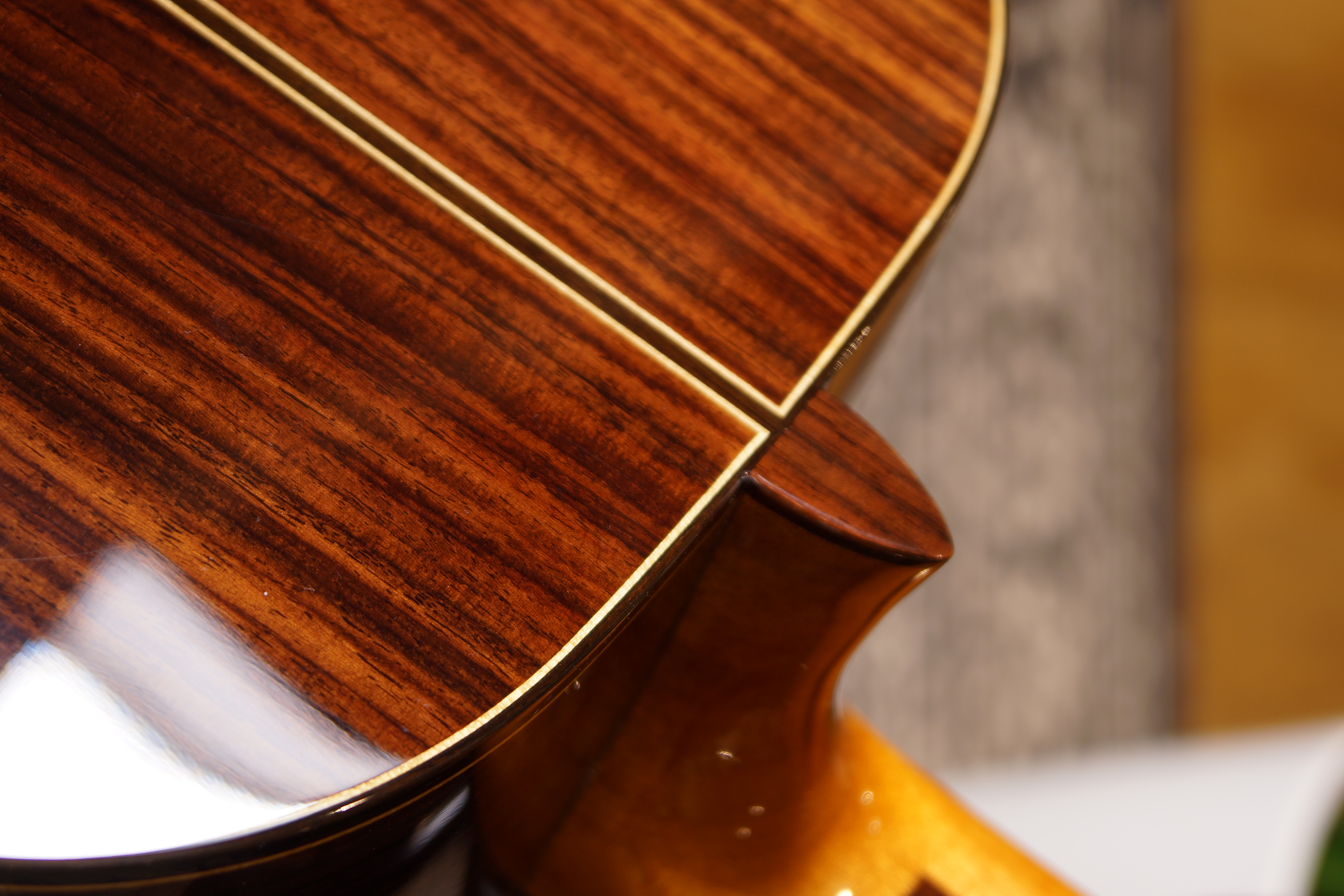 Duke Konzertgitarre Student F